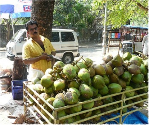 Images/cochin 680.jpg